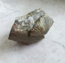 Deutschland/Sachsen/Dresden/Ratssteinbruch