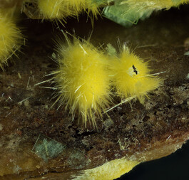 Deutschland/Baden-Württemberg/Freiburg, Bezirk/Waldshut, Landkreis/St. Blasien, Stadtgemeinde/Menzenschwand, Ortsteil/Krunkelbach