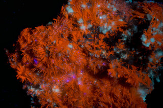 USA/Utah/Grand County/D-Day Mine