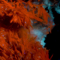 USA/Utah/Grand County/D-Day Mine