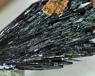 Deutschland/Bayern/Oberpfalz, Bezirk/Tirschenreuth, Landkreis/Leonberg, Gemeinde/Pfaffenreuth, Ortsteil/Grube Bayerland