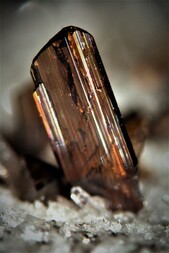 Deutschland/Bayern/Oberfranken, Bezirk/Hof, Landkreis/Feilitzsch, Gemeinde/Steinbruch am Kienberg