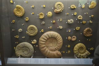 Schweiz/Aargau, Kanton/Laufenburg, Bezirk/Herznach