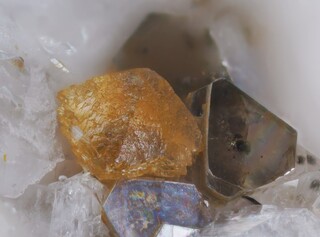 Schweiz/Wallis, Kanton/Goms, Bezirk/Binntal/Binn/Kriegalptal (Chriegalptal)/Wannigletscher-Scherbadung