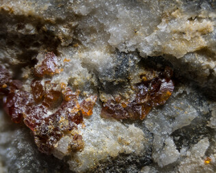 Deutschland/Sachsen/Sächsische Schweiz-Osterzgebirge, Landkreis/Wilsdruff/Mohorn