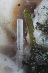 Norwegen/Vestfold, Provinz/Tønsberg, Kommune/Ramnes/Himberg