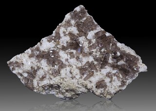 Schweiz/Bern, Kanton/Interlaken-Oberhasli, Kreis/Guttannen/Oberaarsee/Zinggenstöcke/Vorderer Zinggenstock/Rufibachkluft