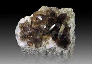 Schweiz/Bern, Kanton/Interlaken-Oberhasli, Kreis/Guttannen/Oberaarsee/Zinggenstöcke/Vorderer Zinggenstock/Rufibachkluft