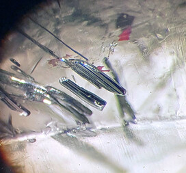 USA/Nevada/Pershing County/San Jacinto Mining District/Poker Brown Mine (Old Tom Mine)