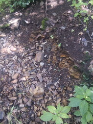 Deutschland/Sachsen/Sächsische Schweiz-Osterzgebirge, Landkreis/Freital/Großer Ternickel