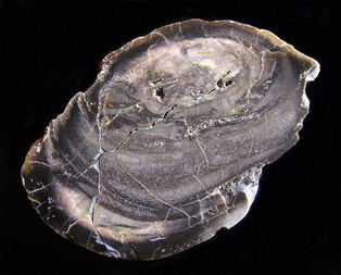 Polen/Dolnośląskie (Niederschlesien), Woiwodschaft/Kłodzki (Glatz), Powiat/Glatz (Kłodzko)/Birgwitz (Bierkowice)