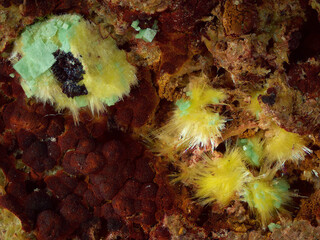 Deutschland/Baden-Württemberg/Freiburg, Bezirk/Waldshut, Landkreis/St. Blasien, Stadtgemeinde/Menzenschwand, Ortsteil/Krunkelbach