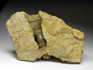 USA/Missouri/Jasper County/Tri-State District/Joplin Field