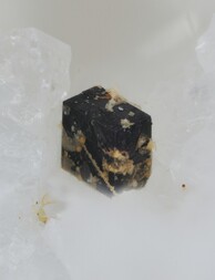 Italien/Piemont (Piemonte), Region/Verbano-Cusio-Ossola, Provinz/Druogno/Orcesco