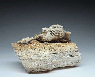 Mexiko/San Luis Potosi, Estado/Catorce, Municipio/Wadley