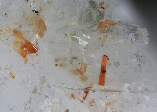 Italien/Piemont (Piemonte), Region/Verbano-Cusio-Ossola, Provinz/Druogno/Orcesco