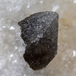 Italien/Emilia-Romagna, Region/Reggio Emilia/Val Secchia/Castelnovo ne' Monti