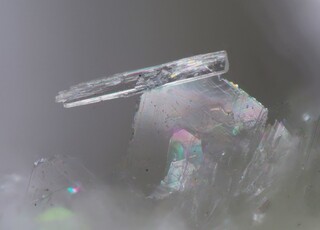 Italien/Piemont (Piemonte), Region/Verbano-Cusio-Ossola, Provinz/Trontano/Pizzo Marcio (Nordseite)