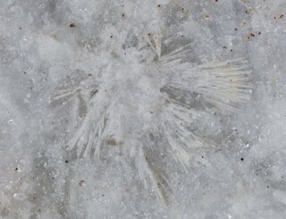 Italien/Piemont (Piemonte), Region/Verbano-Cusio-Ossola, Provinz/Trontano/Pizzo Marcio (Nordseite)