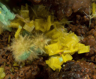 Deutschland/Baden-Württemberg/Freiburg, Bezirk/Waldshut, Landkreis/St. Blasien, Stadtgemeinde/Menzenschwand, Ortsteil/Krunkelbach