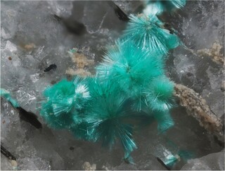 Italien/Piemont (Piemonte), Region/Verbano-Cusio-Ossola, Provinz/Baceno/Alpe Devero (Valle Devero)/Monte Cervandone/Nord-Ost-Hang