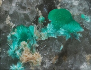 Italien/Piemont (Piemonte), Region/Verbano-Cusio-Ossola, Provinz/Baceno/Alpe Devero (Valle Devero)/Monte Cervandone/Nord-Ost-Hang