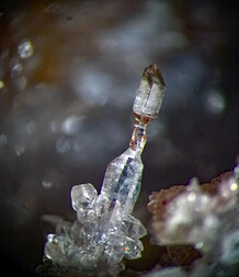 Mexiko/Chiapas, Estado/Aldama, Municipio/Aldama