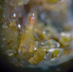 Mexiko/Chiapas, Estado/Aldama, Municipio/Aldama