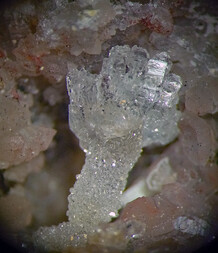 Mexiko/Chiapas, Estado/Aldama, Municipio/Aldama