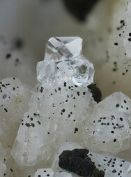 Deutschland/Nordrhein-Westfalen/Düsseldorf, Bezirk/Mettmann, Kreis/Wülfrath, Stadtgemeinde/Rohdenhaus/Steinbruch Rohdenhaus