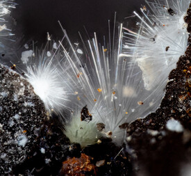 Deutschland/Nordrhein-Westfalen/Köln, Bezirk/Aachen, Städteregion/Eschweiler/Halde Concordiahütte