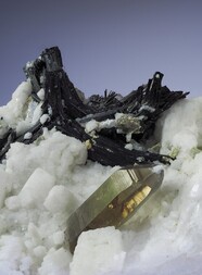 Schweiz/Wallis, Kanton/Goms, Bezirk/Binntal/Binn/Kriegalptal (Chriegalptal)/Wannigletscher-Scherbadung