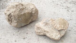 Österreich/Niederösterreich/Horn, Bezirk/Eggenburg, Stadtgemeinde