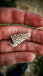 Österreich/Niederösterreich/Horn, Bezirk/Rosenburg-Mold, Gemeinde/Mold/Maria Dreieichen/ehemalige Sandgrube und Umgebung