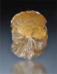 Schweiz/Wallis, Kanton/Goms, Bezirk/Binntal/Binn/Kriegalptal (Chriegalptal)/Wannigletscher-Scherbadung