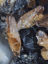 Schweiz/Wallis, Kanton/Goms, Bezirk/Binntal/Binn/Kriegalptal (Chriegalptal)/Wannigletscher-Scherbadung