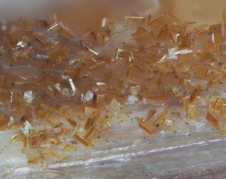 Schweiz/Wallis, Kanton/Goms, Bezirk/Binntal/Binn/Kriegalptal (Chriegalptal)/Wannigletscher-Scherbadung