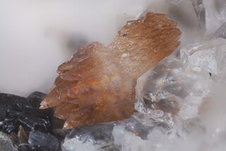 Schweiz/Wallis, Kanton/Goms, Bezirk/Binntal/Binn/Kriegalptal (Chriegalptal)/Wannigletscher-Scherbadung