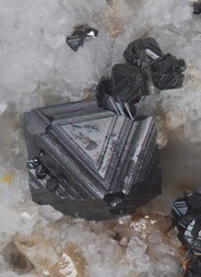 Schweiz/Wallis, Kanton/Goms, Bezirk/Binntal/Binn/Kriegalptal (Chriegalptal)/Wannigletscher-Scherbadung