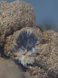 Schweiz/Wallis, Kanton/Goms, Bezirk/Binntal/Binn/Kriegalptal (Chriegalptal)/Wannigletscher-Scherbadung