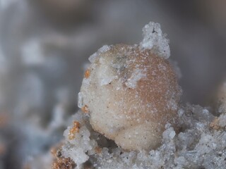 Schweiz/Wallis, Kanton/Goms, Bezirk/Binntal/Binn/Kriegalptal (Chriegalptal)/Wannigletscher-Scherbadung