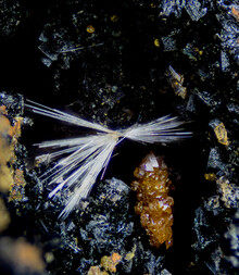 Deutschland/Bayern/Oberpfalz, Bezirk/Neustadt an der Waldnaab, Landkreis/Waidhaus/Hagendorf/Hagendorf-Süd (Grube Cornelia)