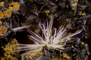 Deutschland/Bayern/Oberpfalz, Bezirk/Neustadt an der Waldnaab, Landkreis/Waidhaus/Hagendorf/Hagendorf-Süd (Grube Cornelia)