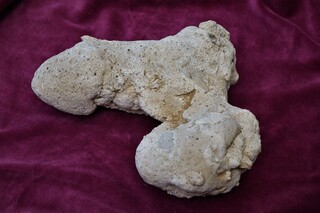 Österreich/Niederösterreich/Melk, Bezirk/Klein Pöchlarn/Steinbruch bei Ebersdorf ('Lehen-Ebersdorf')