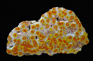 Deutschland/Sachsen/Bautzen, Landkreis/Ottendorf-Okrilla