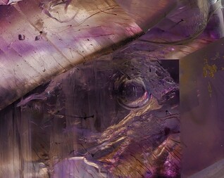 Namibia/Erongo, Region/Dâures, Kreis/Brandberg-Gebiet/Goboboseb-Berge