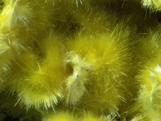 Deutschland/Bayern/Oberfranken, Bezirk/Wunsiedel im Fichtelgebirge, Landkreis/Kirchenlamitz, Stadtgemeinde/Großschloppen, Ortsteil/Grube Christa