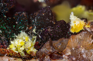 Deutschland/Baden-Württemberg/Freiburg, Bezirk/Waldshut, Landkreis/St. Blasien, Stadtgemeinde/Menzenschwand, Ortsteil/Krunkelbach