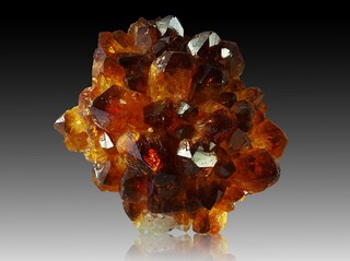 Brasilien/Süden (Região Sul)/Rio Grande do Sul