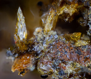 Deutschland/Bayern/Oberpfalz, Bezirk/Neustadt an der Waldnaab, Landkreis/Waidhaus/Hagendorf/Hagendorf-Süd (Grube Cornelia)